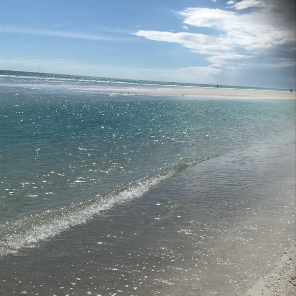 Meet your Posher, Dale - Picture 2 of 2